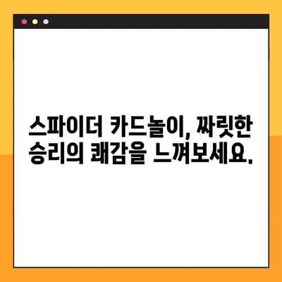스파이더 카드놀이 다운로드 & 설치 완벽 가이드 | PC/모바일, 상세설명, 게임 시작 팁