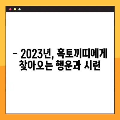 2023년 흑토끼띠 운세| 해명과 삼재, 나에게 닥칠 운명은? | 토끼띠, 운세, 띠별운세, 2023년 운세