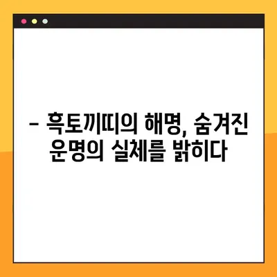 2023년 흑토끼띠 운세| 해명과 삼재, 나에게 닥칠 운명은? | 토끼띠, 운세, 띠별운세, 2023년 운세