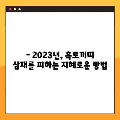2023년 흑토끼띠 운세| 해명과 삼재, 나에게 닥칠 운명은? | 토끼띠, 운세, 띠별운세, 2023년 운세