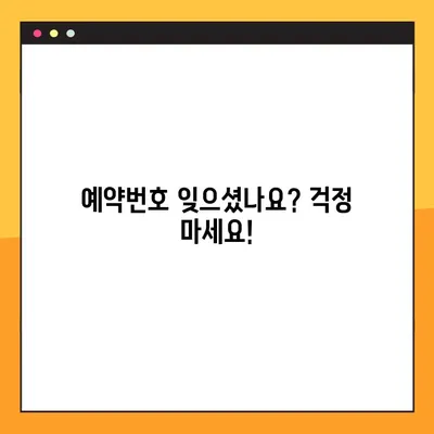 제주항공 예약 정보 확인 & 모바일 탑승권 발급 완벽 가이드 |  예약번호 조회, 탑승권 발급,  여행 준비