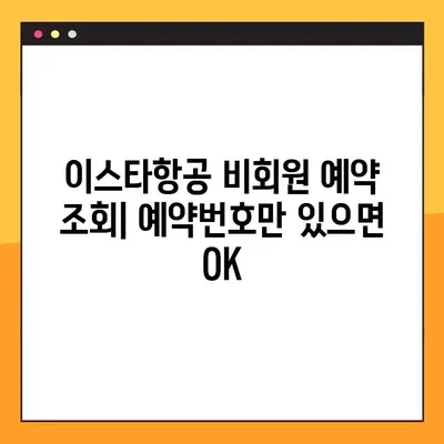 이스타항공 비회원 예약번호 확인| 한 명씩 조회 가능한 시스템 | 예약 정보 찾기, 이스타항공 예약 조회, 비회원 예약