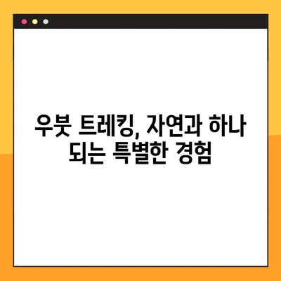 발리 우붓 자연 속 트레킹 코스 추천| 숨겨진 명소와 잊을 수 없는 경험 | 발리, 우붓, 트레킹, 자연, 여행