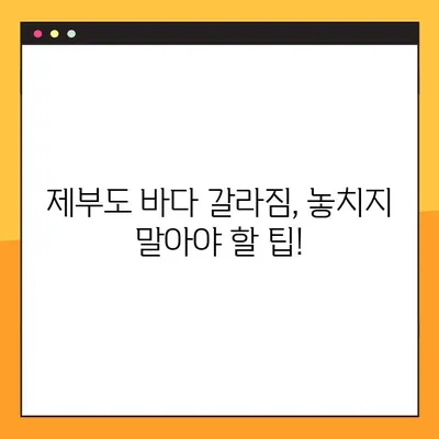 제부도 바다 갈라짐 시간표| 2023년 최신 정보 & 팁 | 물때, 예상 시간, 주의사항