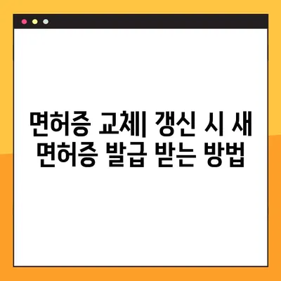 70세 이상 운전면허 갱신, 완벽 가이드 | 갱신 절차, 건강검진, 면허증 교체, 주의 사항