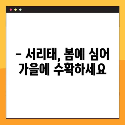 서리태 재배, 언제 심어야 가장 좋을까요? | 서리태 재배 시기, 서리태 효능, 영양 정보