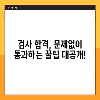 자동차 검사 정보 한눈에 보기| 예약, 유효기간, 종합 조회 | 자동차 검사, 자동차 정비, 차량 관리