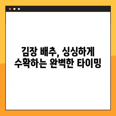 김장 배추 재배 성공 지침| 파종부터 수확까지 완벽 가이드 | 김장 배추 재배 일정, 파종 시기, 수확 시기