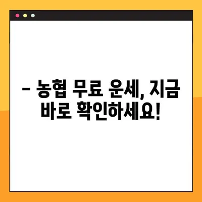 농협 무료 운세 확인 바로가기 | 오늘의 운세, 궁금한 점 바로 확인!