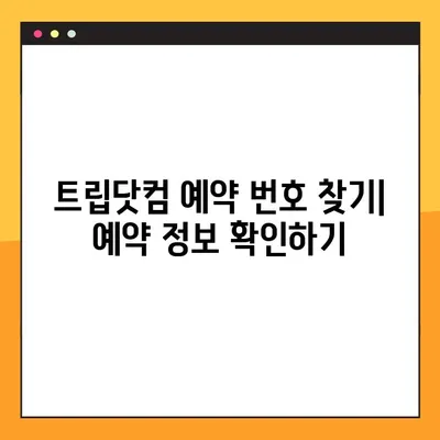 트립닷컴 예약 변경 & 할인코드 꿀팁| 예약 번호 업데이트 & 최대 할인 받기 | 여행 예약, 할인 코드, 트립닷컴
