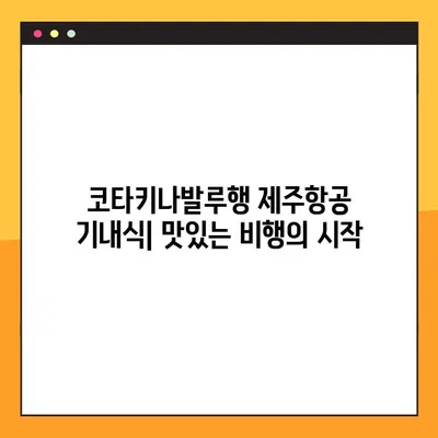 코타키나발루 여행 준비 끝판왕| 제주항공 예약번호 확인부터 기내식까지 | 코타키나발루, 제주항공, 여행 팁, 기내식, 예약