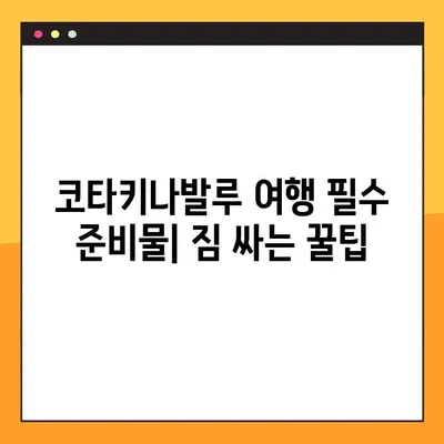코타키나발루 여행 준비 끝판왕| 제주항공 예약번호 확인부터 기내식까지 | 코타키나발루, 제주항공, 여행 팁, 기내식, 예약