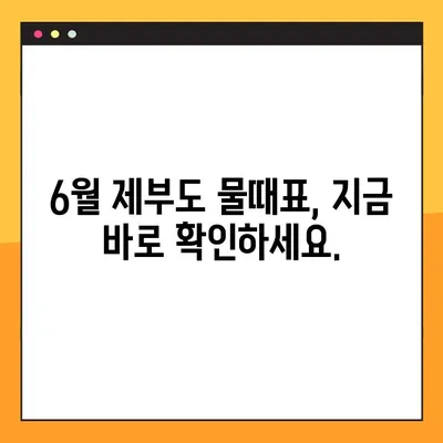 제부도 6월 조수 시간표| 물때 확인하고 최적의 여행 계획 세우세요 | 제부도 여행, 물때 정보, 갯벌 체험