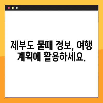 제부도 6월 조수 시간표| 물때 확인하고 최적의 여행 계획 세우세요 | 제부도 여행, 물때 정보, 갯벌 체험