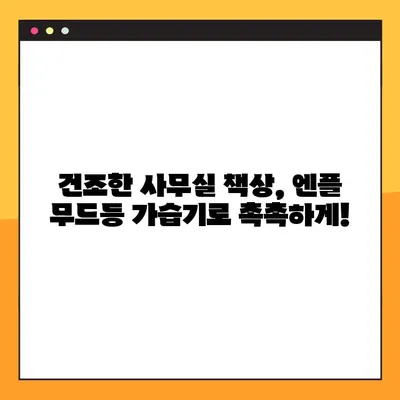 엔플 휴대용 무드등 가습기 후기| 사무실 책상을 위한 완벽한 선택 | 촉촉함과 분위기, 그리고 효율까지 잡다!