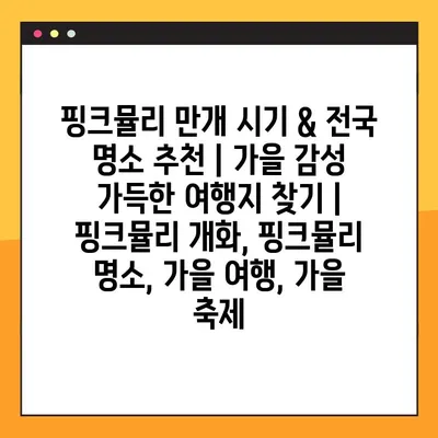 핑크뮬리 만개 시기 & 전국 명소 추천 | 가을 감성 가득한 여행지 찾기 | 핑크뮬리 개화, 핑크뮬리 명소, 가을 여행, 가을 축제