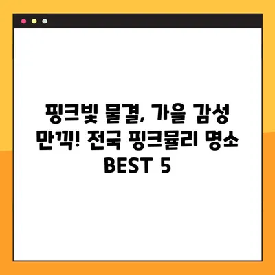 핑크뮬리 만개 시기 & 전국 명소 추천 | 가을 감성 가득한 여행지 찾기 | 핑크뮬리 개화, 핑크뮬리 명소, 가을 여행, 가을 축제