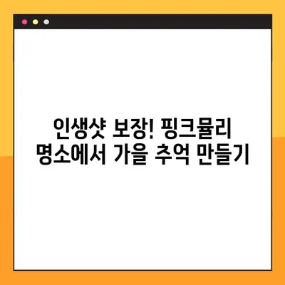 핑크뮬리 만개 시기 & 전국 명소 추천 | 가을 감성 가득한 여행지 찾기 | 핑크뮬리 개화, 핑크뮬리 명소, 가을 여행, 가을 축제