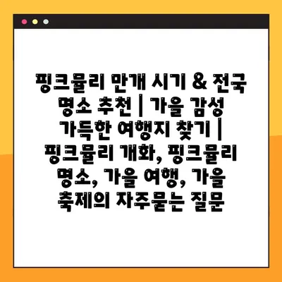핑크뮬리 만개 시기 & 전국 명소 추천 | 가을 감성 가득한 여행지 찾기 | 핑크뮬리 개화, 핑크뮬리 명소, 가을 여행, 가을 축제