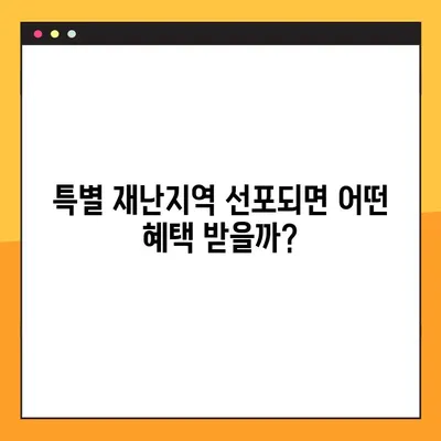 특별 재난지역 선포 시 받을 수 있는 혜택과 보상 감면 꿀팁 | 재난 지원, 특별 재난지역, 지원 대상, 감면 혜택