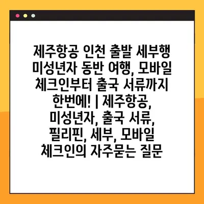 제주항공 인천 출발 세부행 미성년자 동반 여행, 모바일 체크인부터 출국 서류까지 한번에! | 제주항공, 미성년자, 출국 서류, 필리핀, 세부, 모바일 체크인