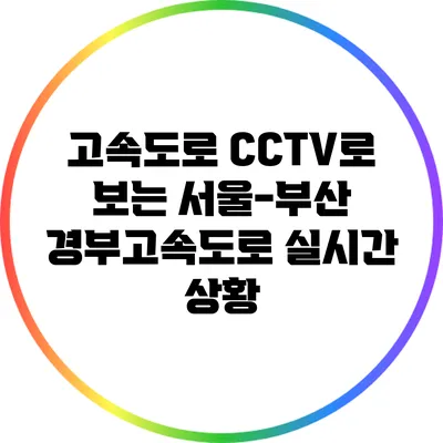 고속도로 CCTV로 보는 서울-부산 경부고속도로 실시간 상황