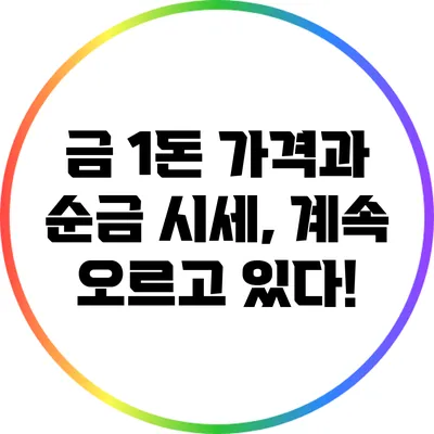 금 1돈 가격과 순금 시세, 계속 오르고 있다!
