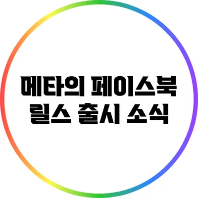 메타의 페이스북 릴스 출시 소식