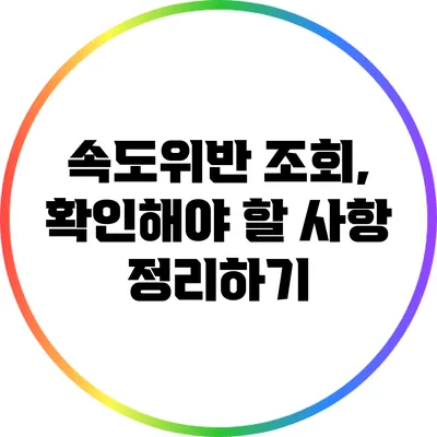 속도위반 조회, 확인해야 할 사항 정리하기