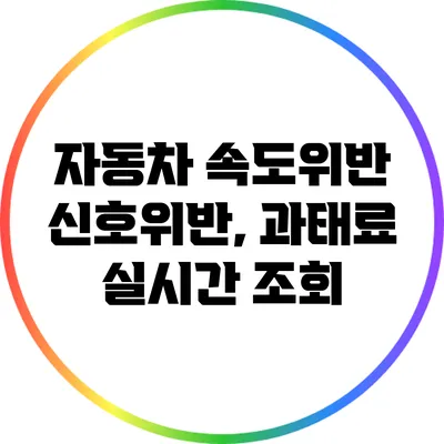 자동차 속도위반 신호위반, 과태료 실시간 조회