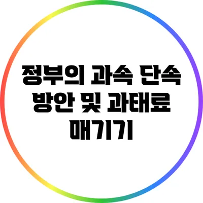 정부의 과속 단속 방안 및 과태료 매기기