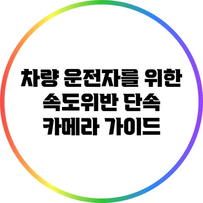 차량 운전자를 위한 속도위반 단속 카메라 가이드