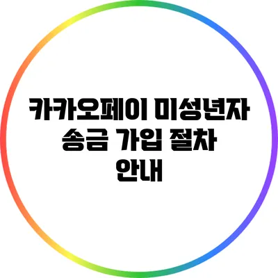 카카오페이 미성년자 송금 가입 절차 안내