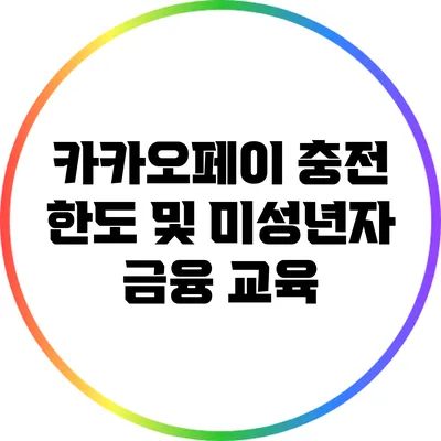 카카오페이 충전 한도 및 미성년자 금융 교육