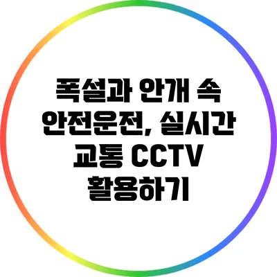 폭설과 안개 속 안전운전, 실시간 교통 CCTV 활용하기