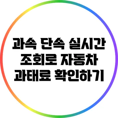 과속 단속 실시간 조회로 자동차 과태료 확인하기
