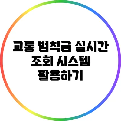 교통 범칙금 실시간 조회 시스템 활용하기