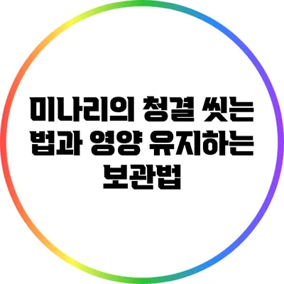 미나리의 청결: 씻는 법과 영양 유지하는 보관법