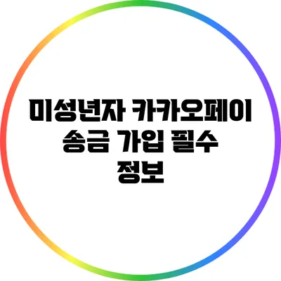 미성년자 카카오페이 송금 가입 필수 정보