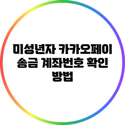 미성년자 카카오페이 송금 계좌번호 확인 방법