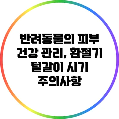 반려동물의 피부 건강 관리, 환절기 털갈이 시기 주의사항