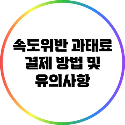 속도위반 과태료 결제 방법 및 유의사항