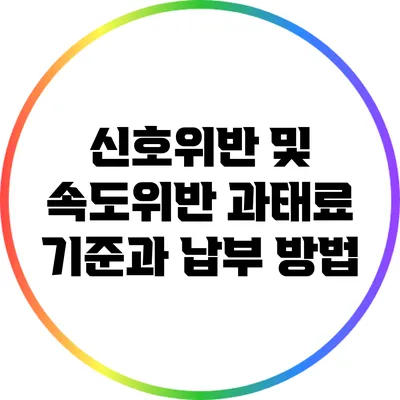 신호위반 및 속도위반 과태료 기준과 납부 방법