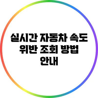 실시간 자동차 속도 위반 조회 방법 안내