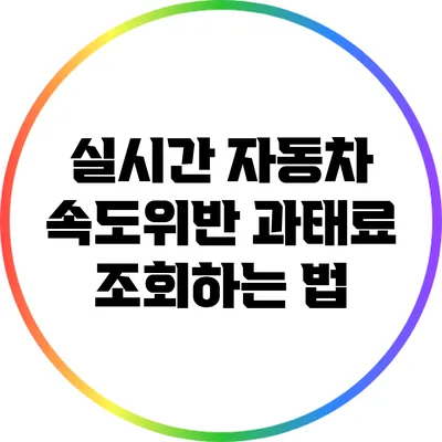 실시간 자동차 속도위반 과태료 조회하는 법