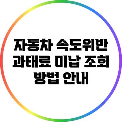 자동차 속도위반 과태료 미납 조회 방법 안내