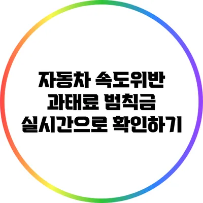 자동차 속도위반 과태료 범칙금 실시간으로 확인하기