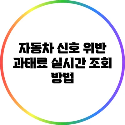 자동차 신호 위반 과태료 실시간 조회 방법