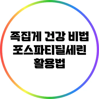 족집게 건강 비법: 포스파티딜세린 활용법