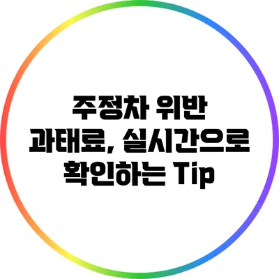 주정차 위반 과태료, 실시간으로 확인하는 Tip
